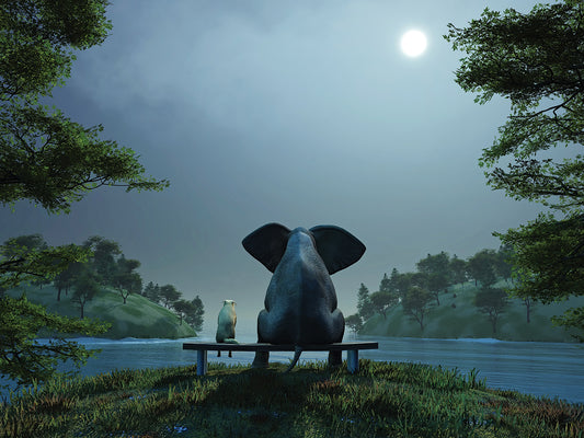 Elephant And Dog Sit at a Lake at Night