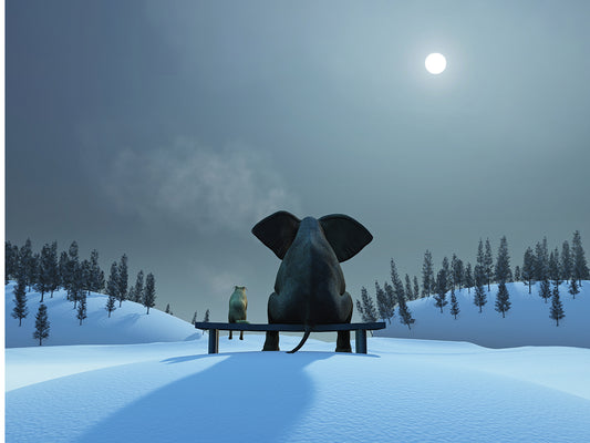 Elephant And Dog Sit by the Snow