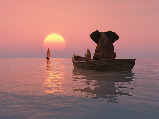 Elephant And Dog Sit in a Boat