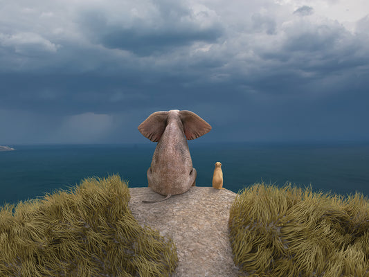 Elephant And Dog Sit Before a Storm