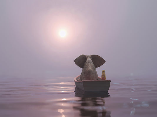 Elephant And Dog Sit in a Pink Rimmed Boat