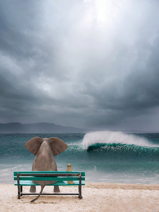 Elephant And Dog Sit On Beach