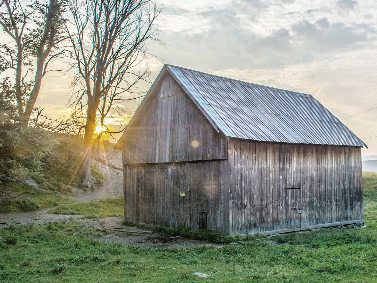 Sun and Barn
