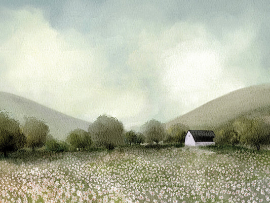 White Barn And Wildflowers
