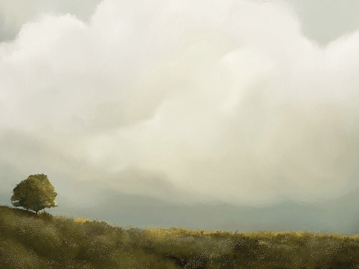 After The Storm