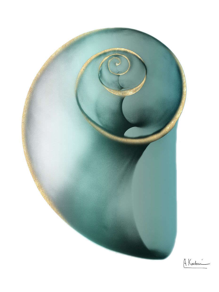 Shimmering Snail 2