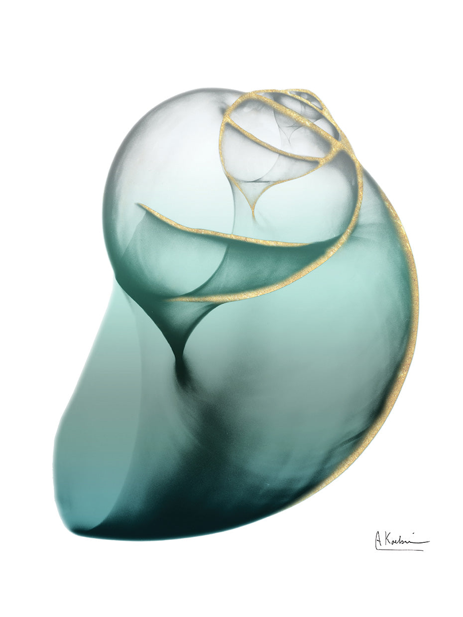 Shimmering Snail 3