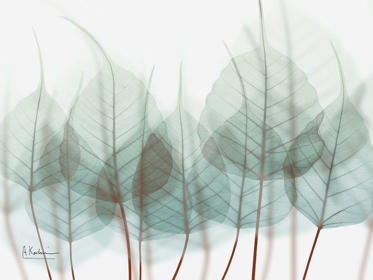 Unfocused Divergent 2