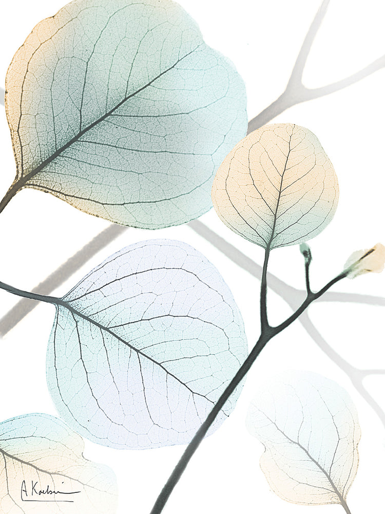 Sunkissed Eternity 1