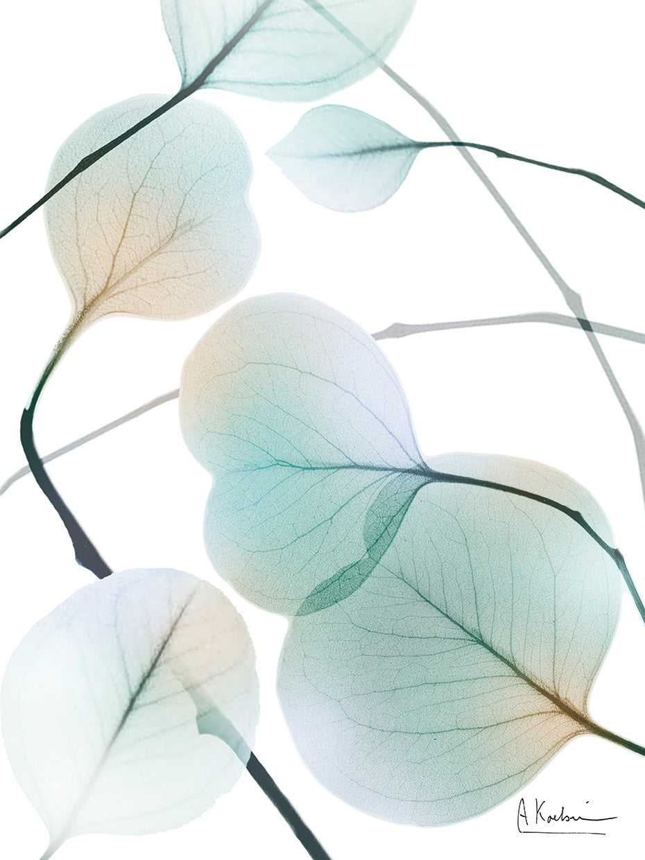 Sunkissed Eternity 2