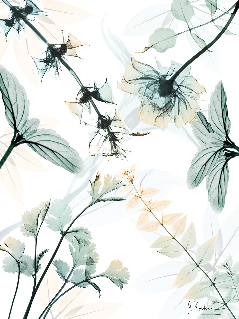 Reaching Beauty 2