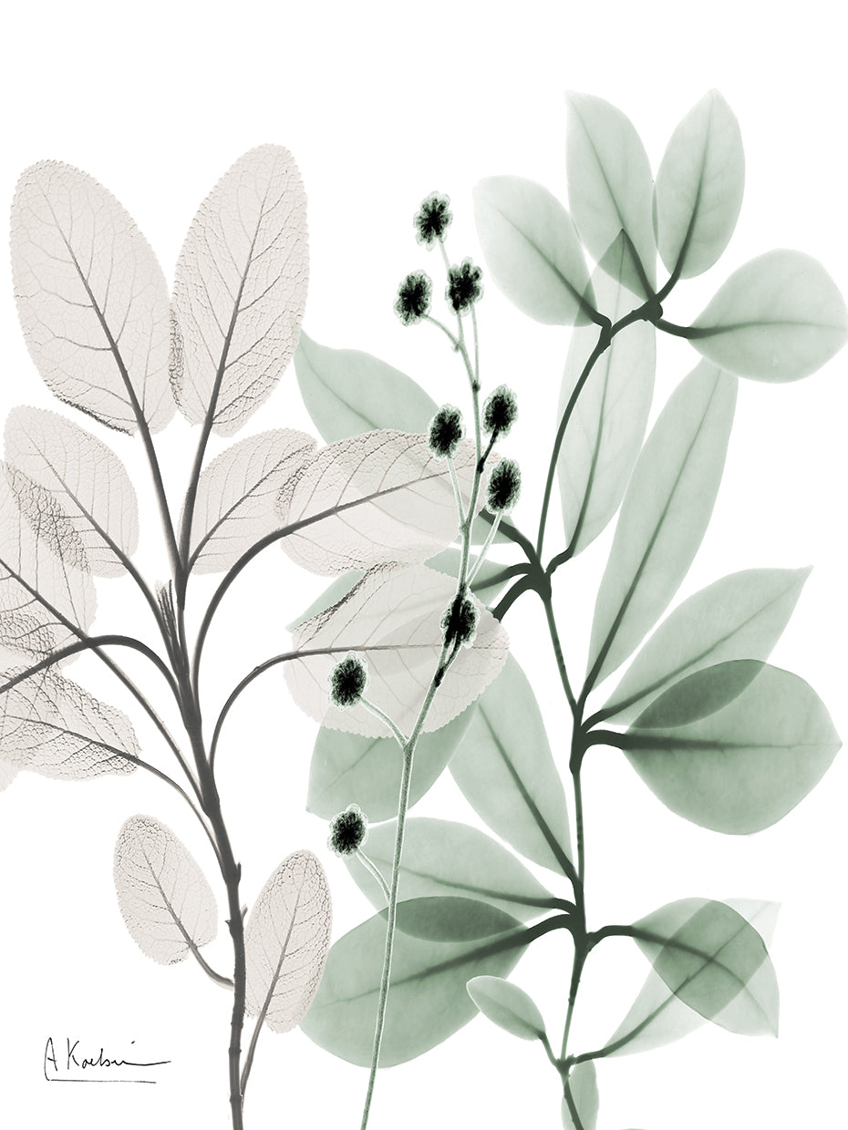 Northern Opposites 1