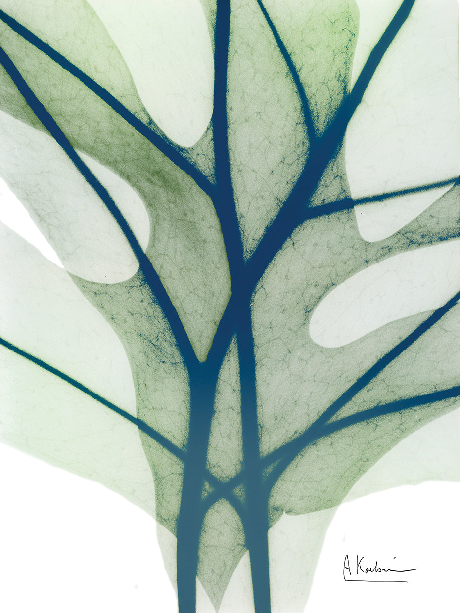 Vibrant Botanicals 2