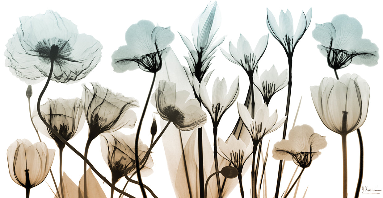 Sandy Floral Breeze 1