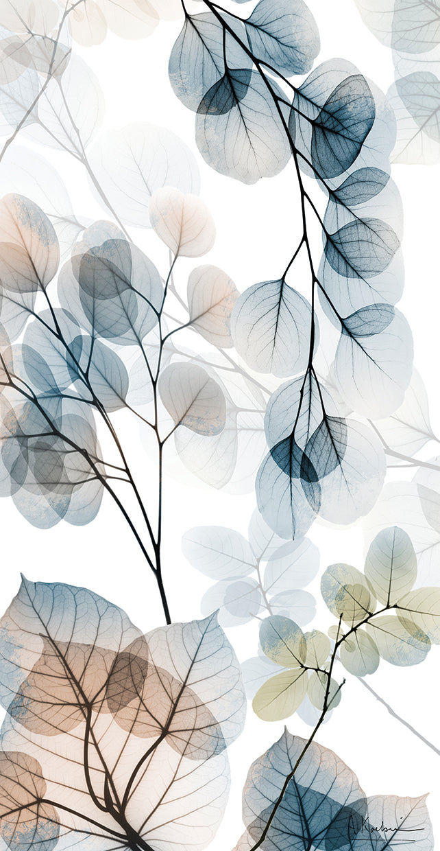 skyward-reach-2-albert-koetsier