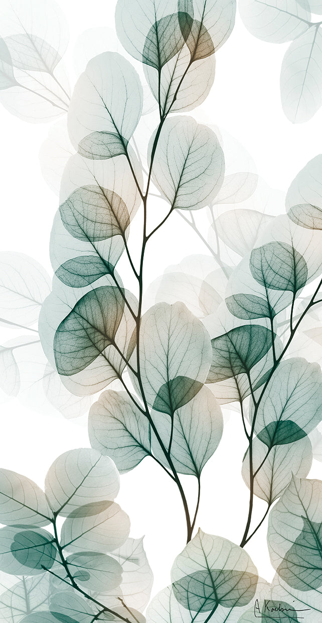 natural-reach-1-albert-koetsier