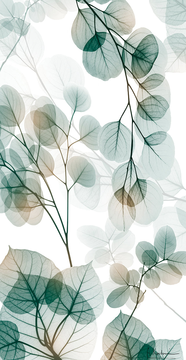 natural-reach-2-albert-koetsier