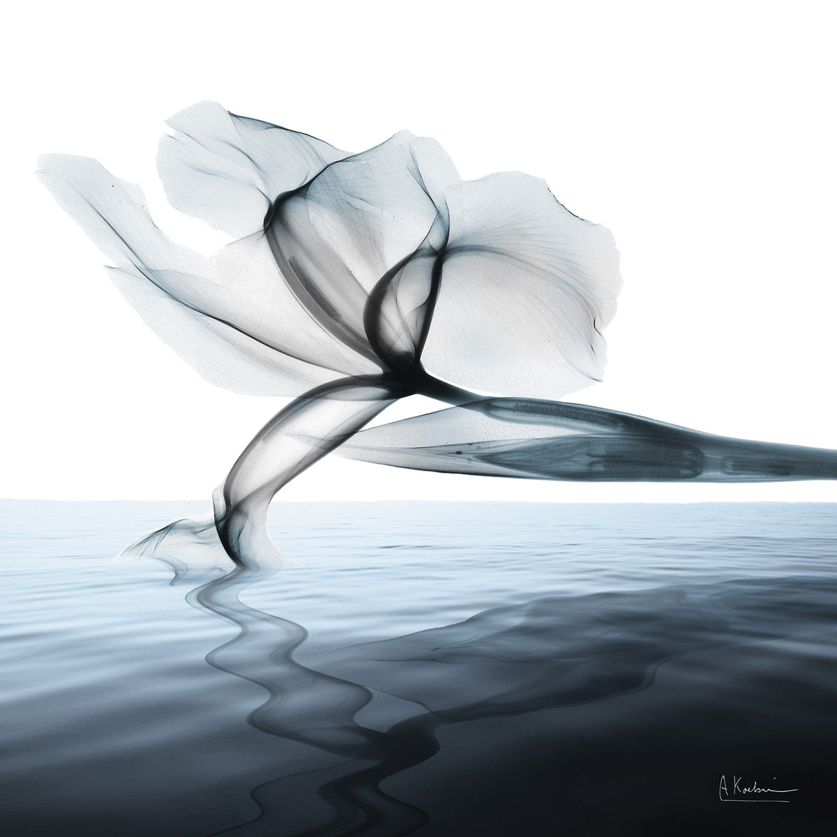Sea Salt Scent 1