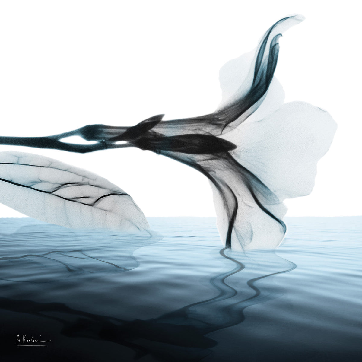 Sea Salt Scent 2