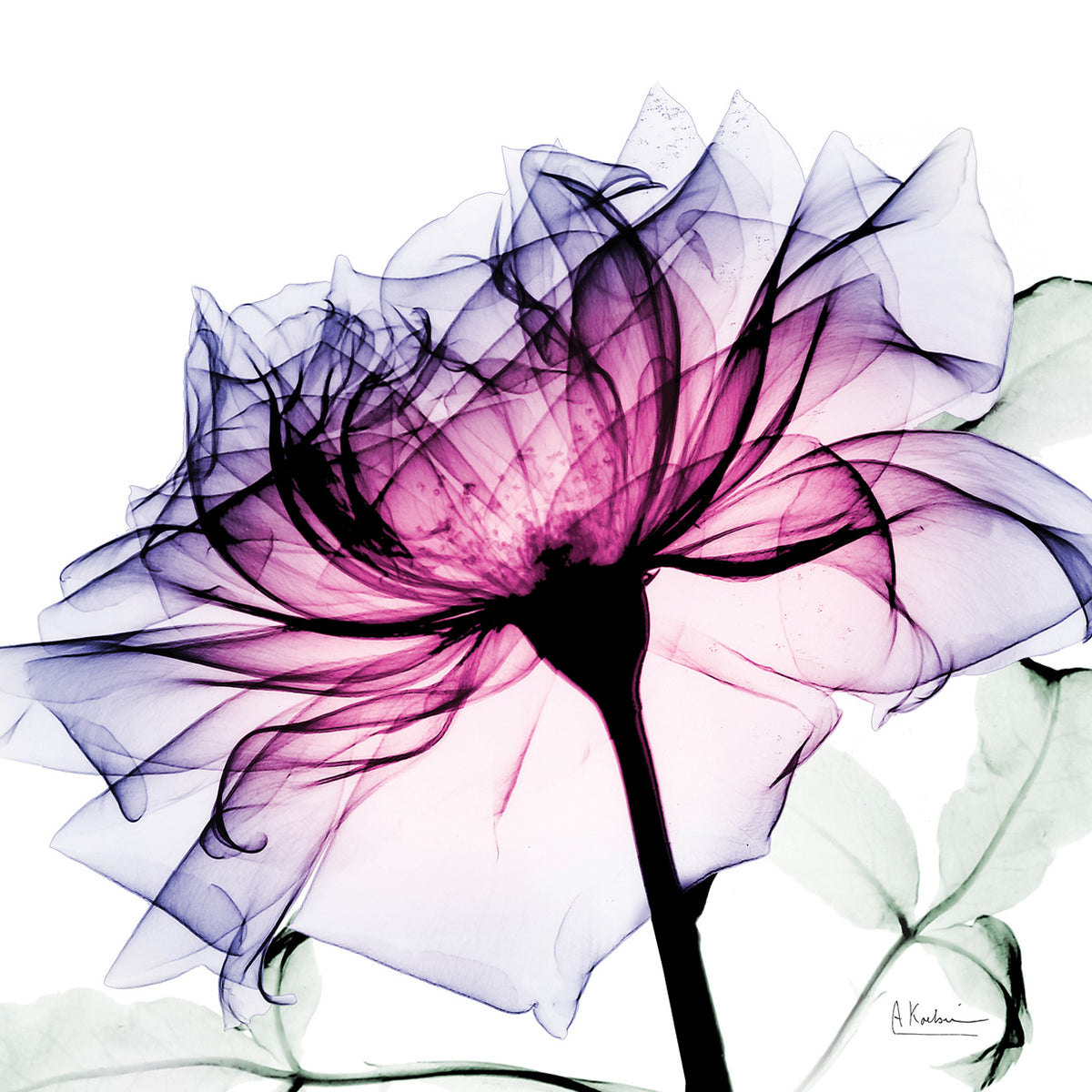 Leni Rose 1