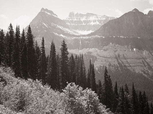 In Glacier National Park -Montana Canvas Print