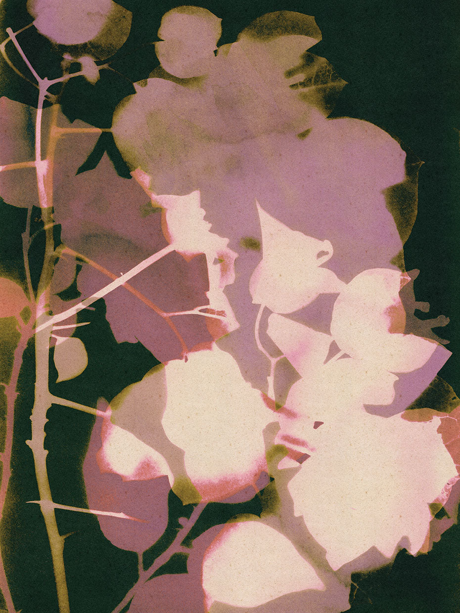 Magic in the Ordinary #6