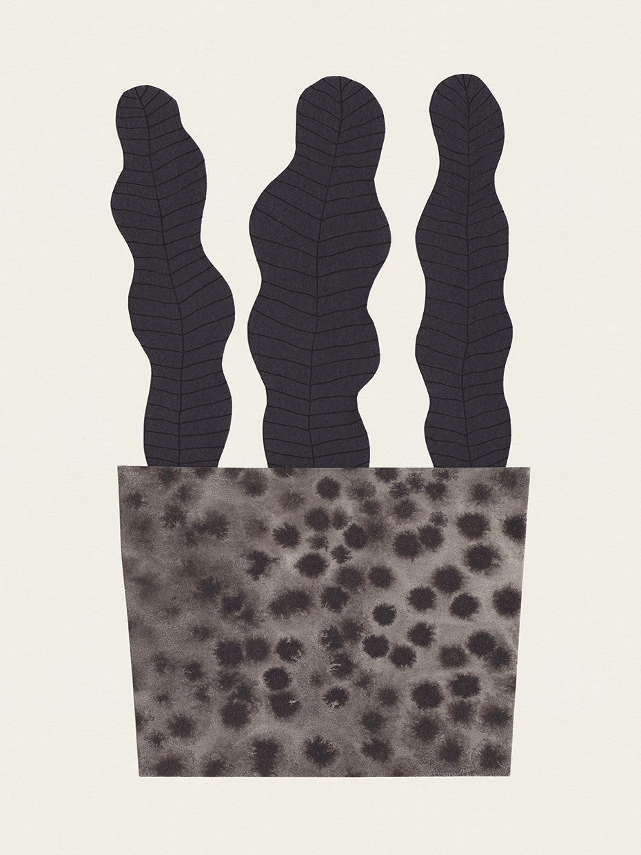 Plant in a pot #2