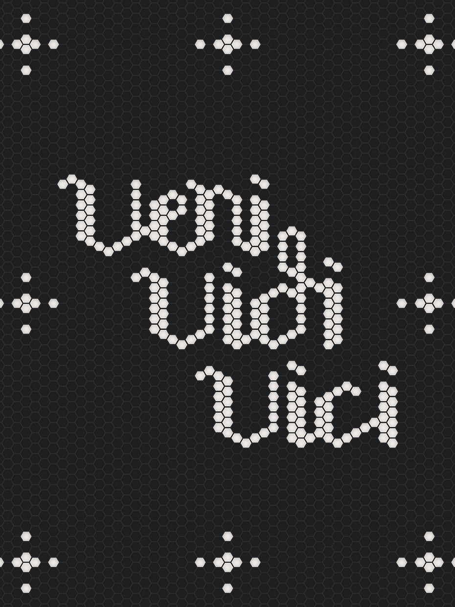 Veni Vidi Vici