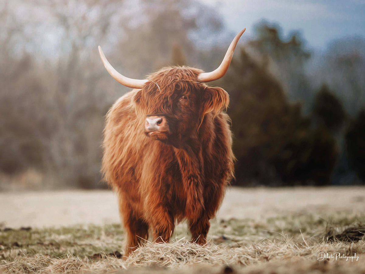 Mom of the Herd