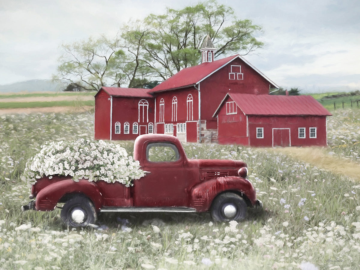 Spring at the Barn