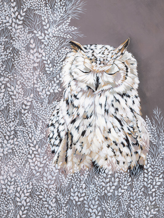 Oliver the Winter Owl Canvas Print