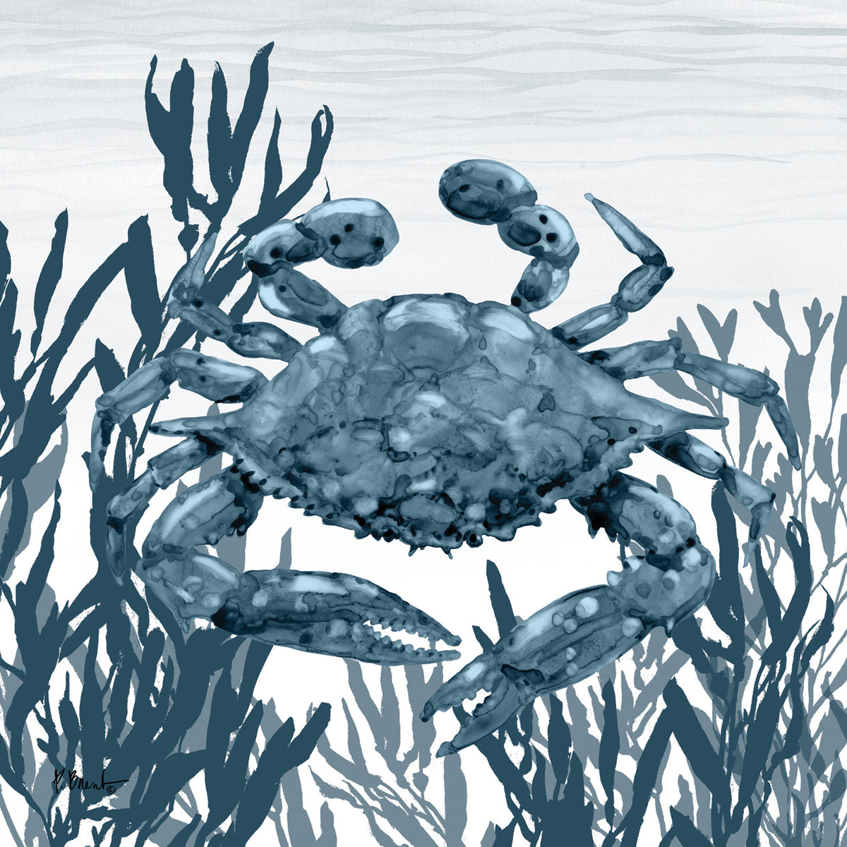 Tonga Sealife III – Indigo