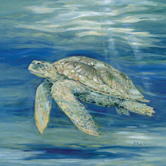 Blue Lagoon Turtle