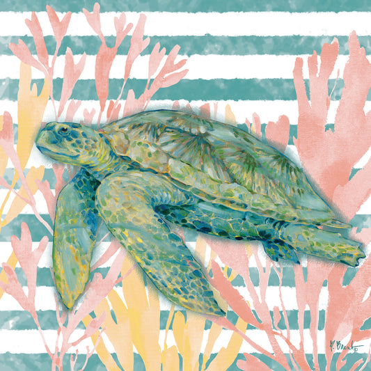 Aka Sea Turtle Canvas Print