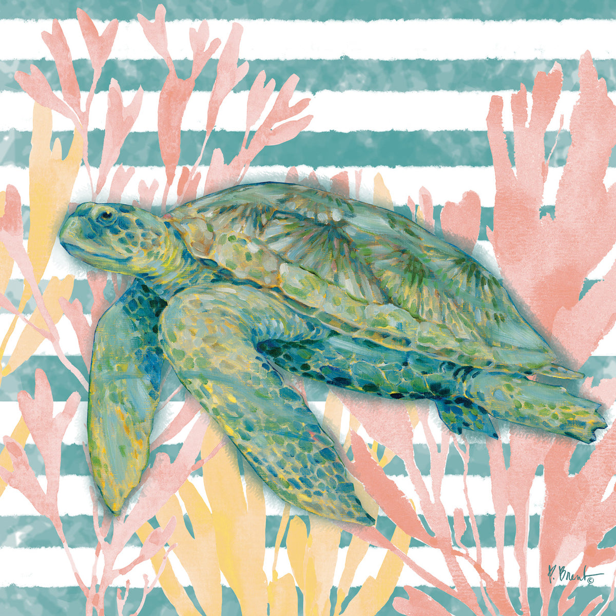 Aka Sea Turtle