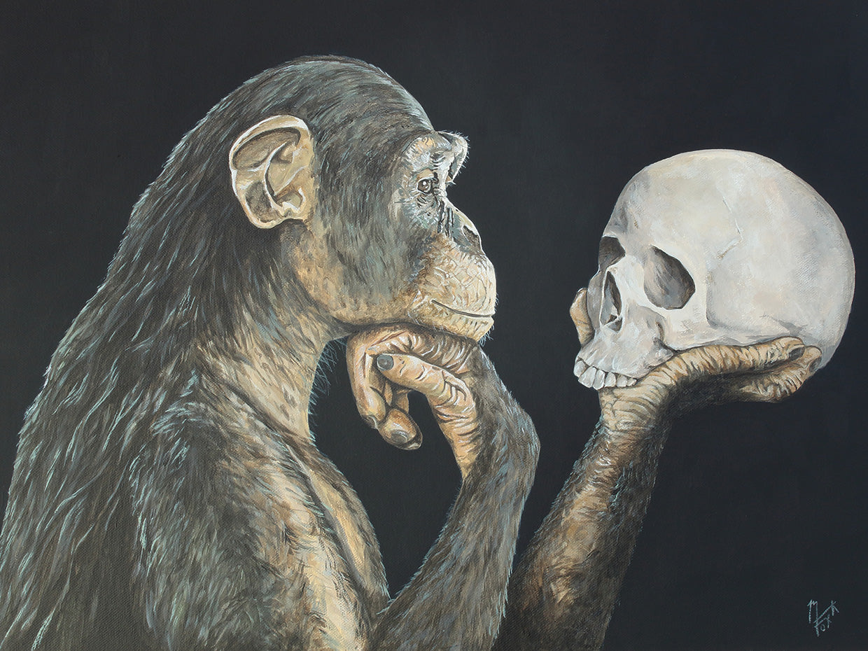 You've Come a Long Way, Haven't You