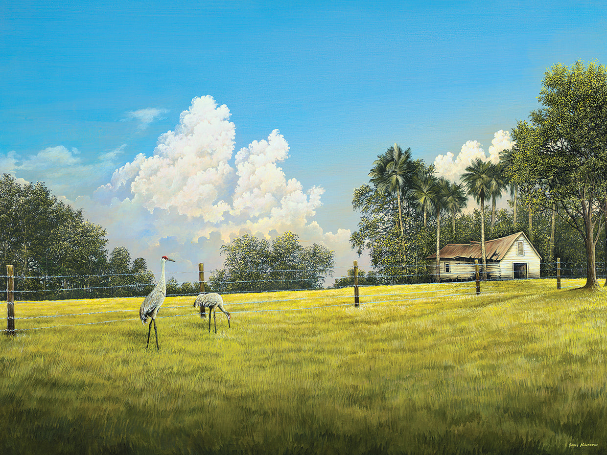 Crane Field