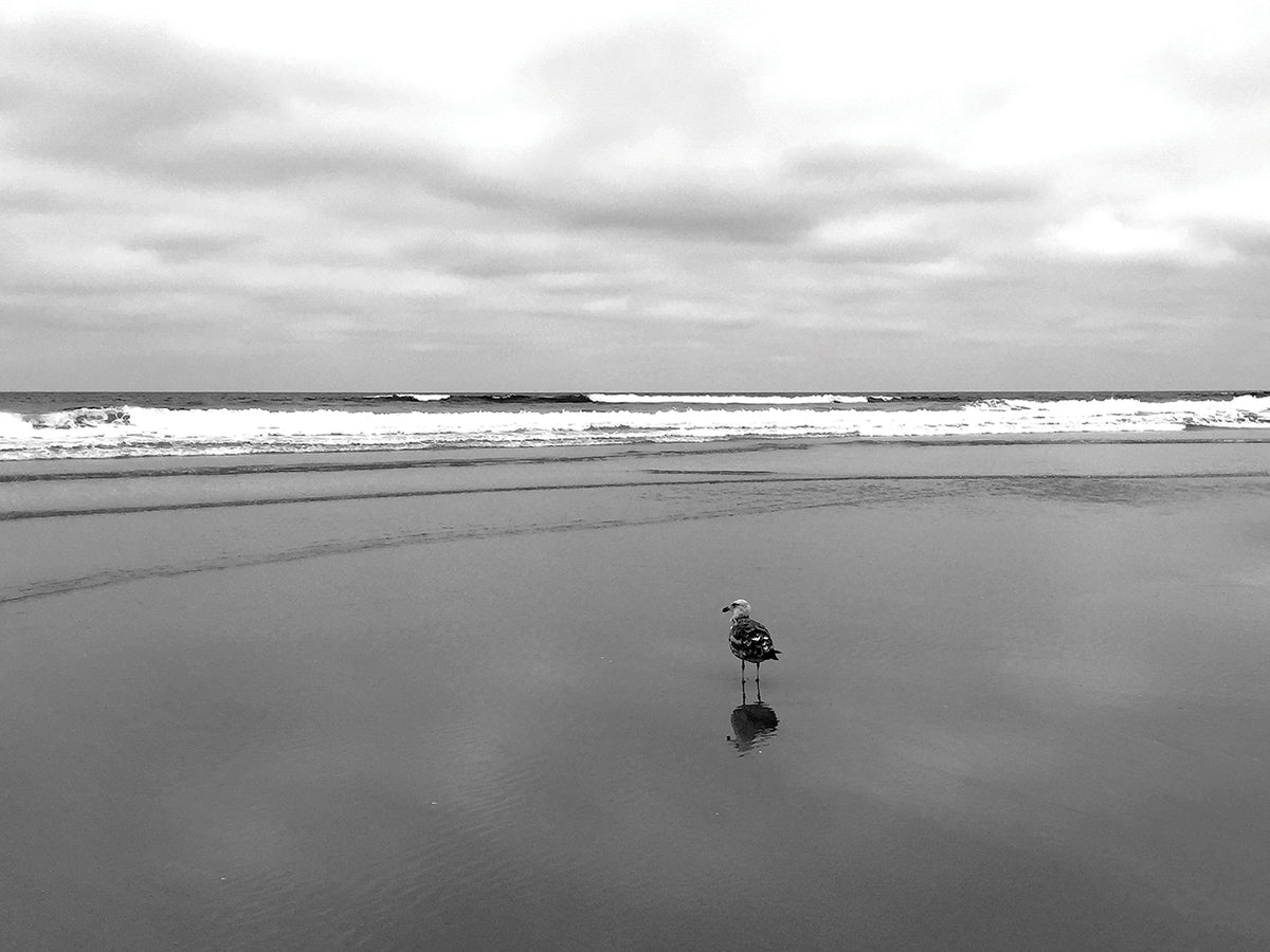 Looking To Sea