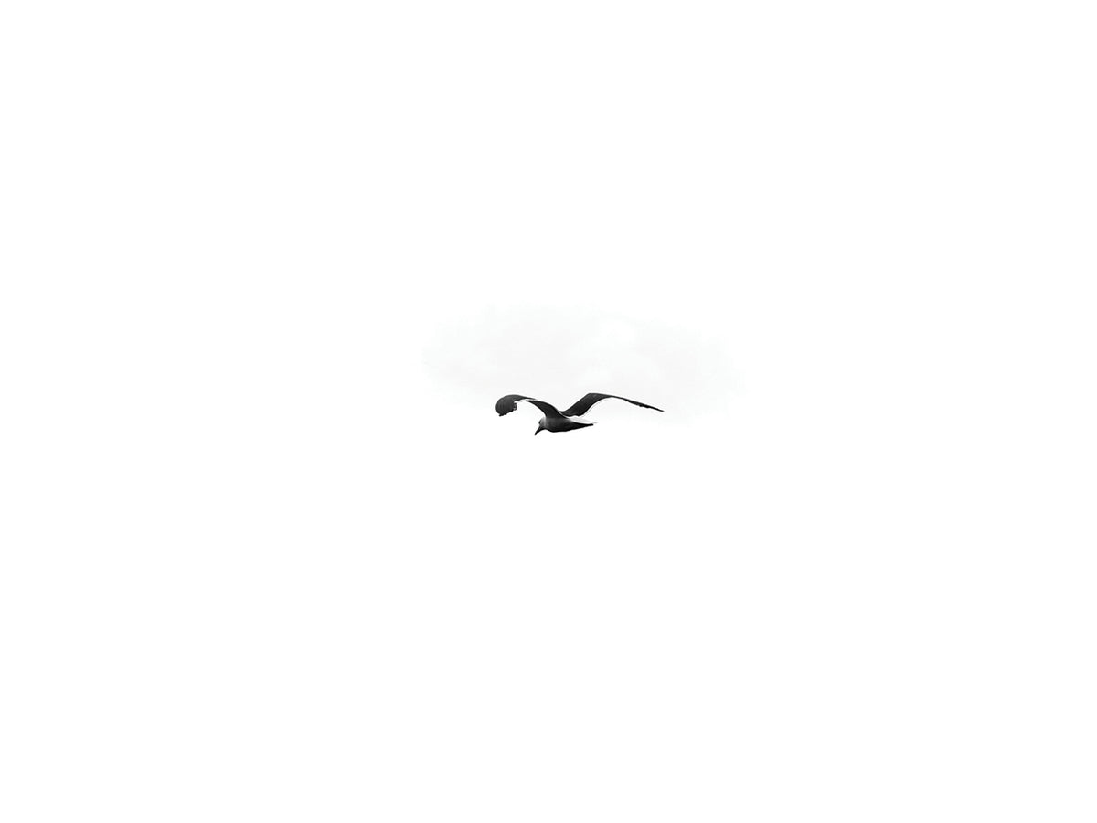 Uncomplicated cropped