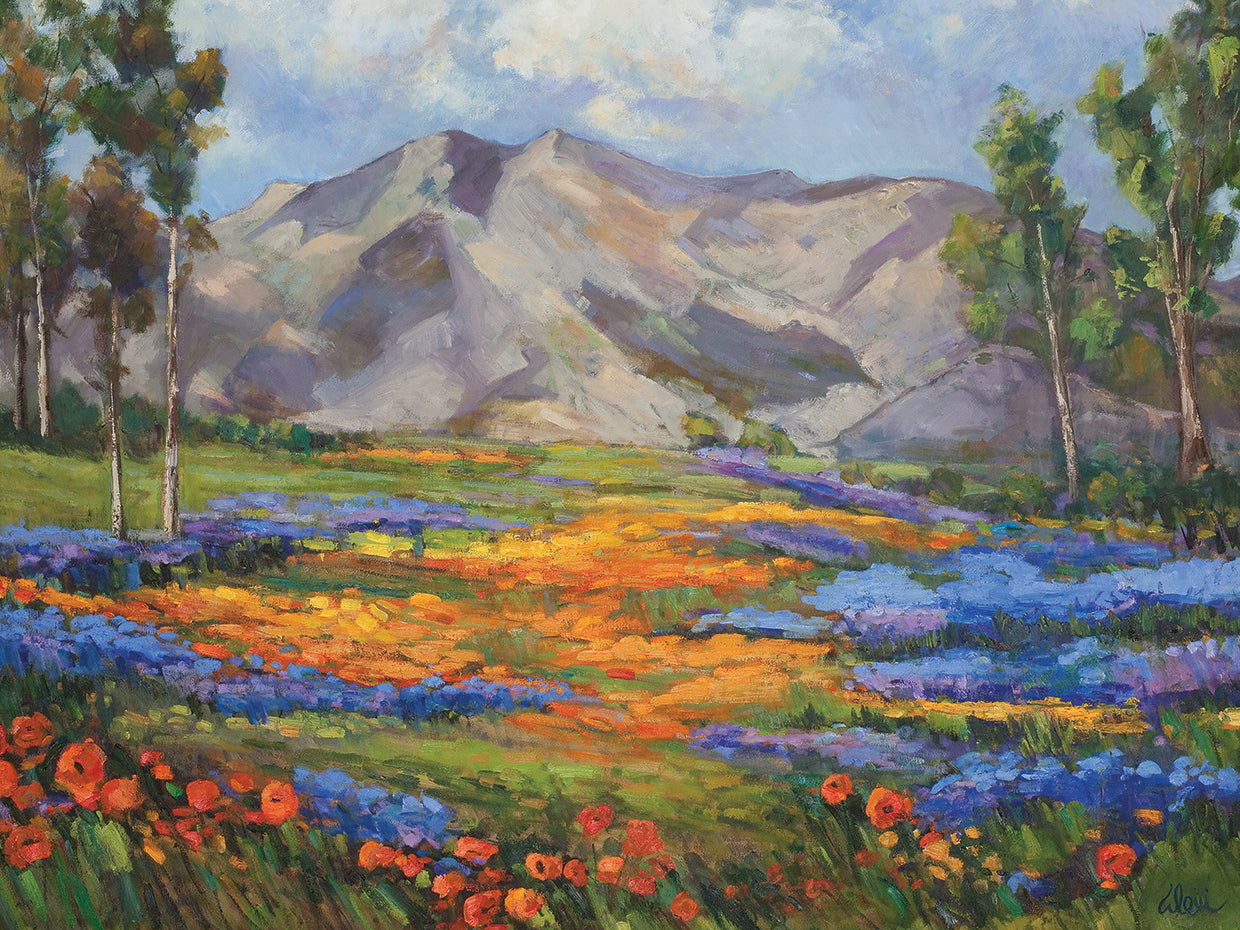Carmel Spring
