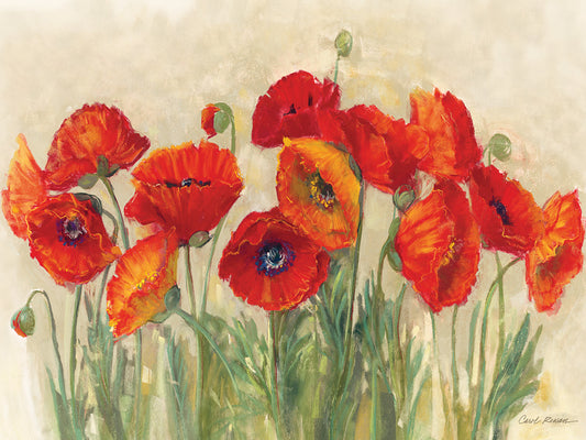 Vibrant Poppies Canvas Print