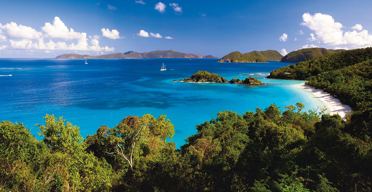 High Angle Panoramic View of Trunk Bay, St John, US Virgin Island