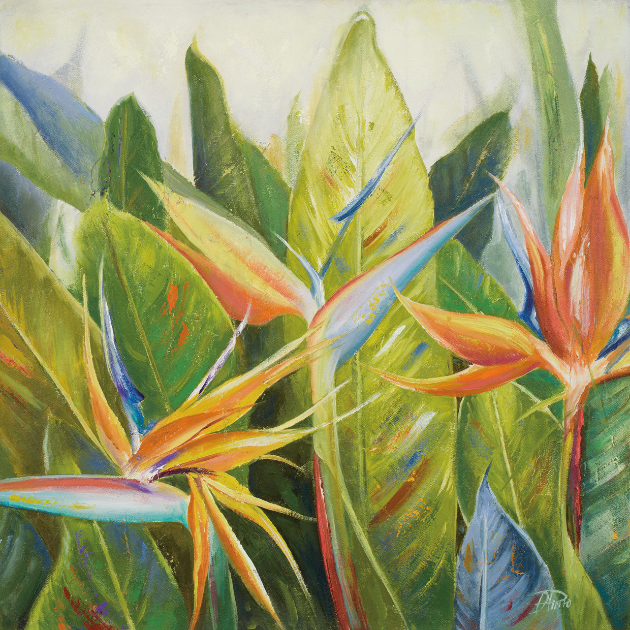 Bird of Paradise I