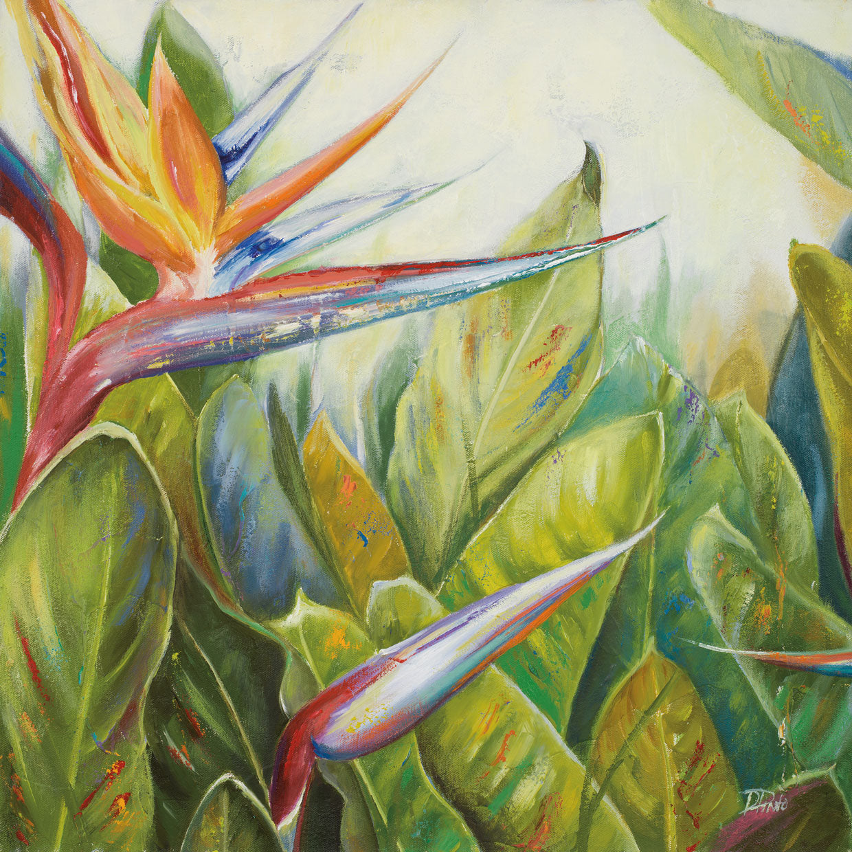 Bird of Paradise II