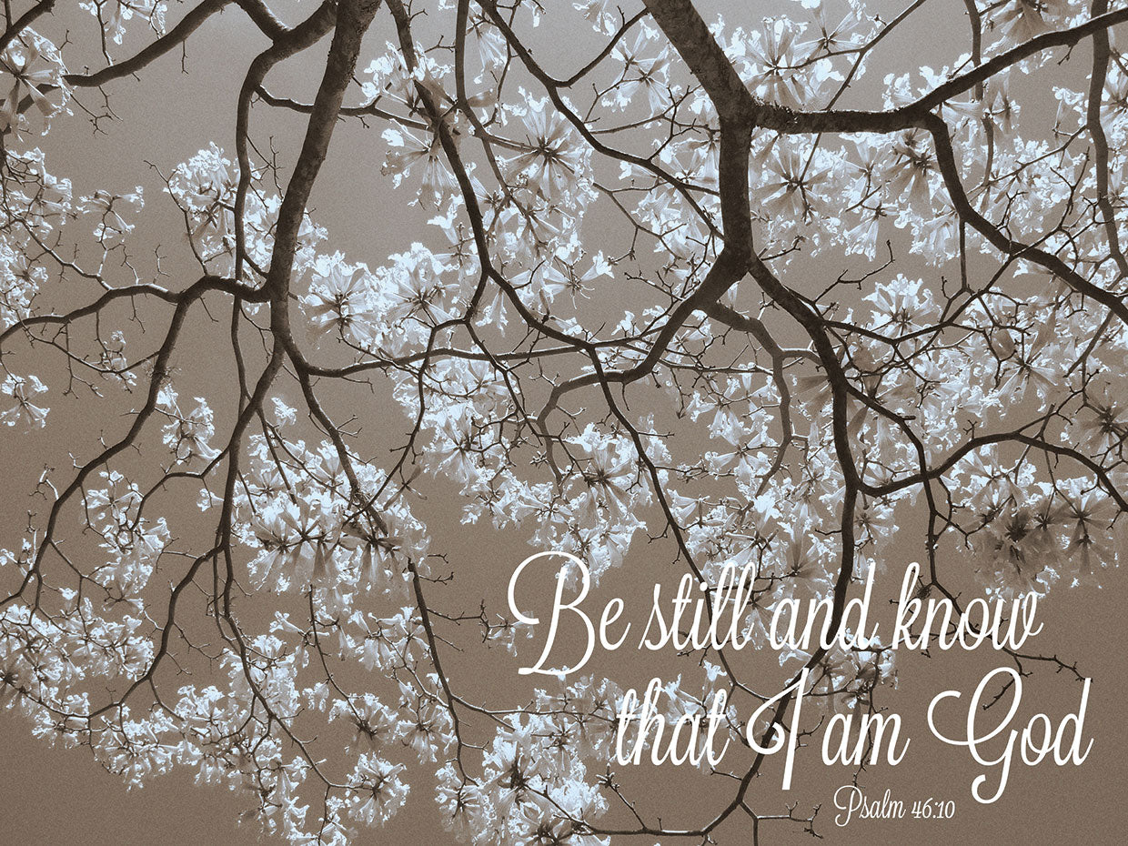 Be Still