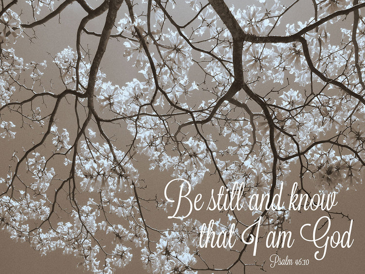 Be Still