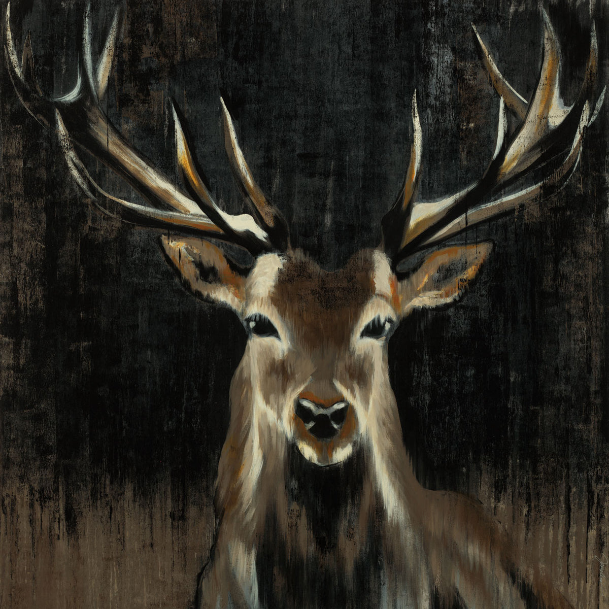YOUNG BUCK