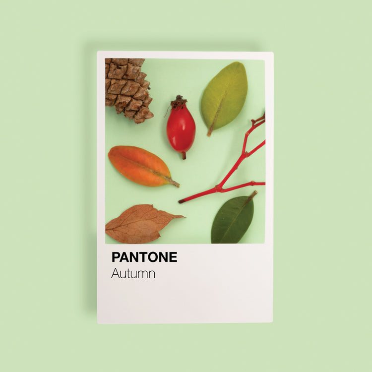 Autumn Color