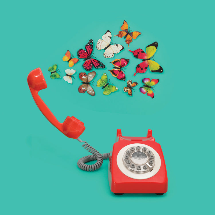 Butterflies Phone sq