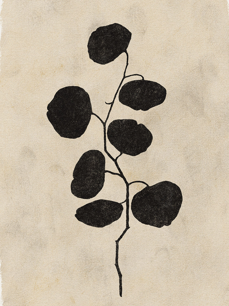 Botanical Silhouette